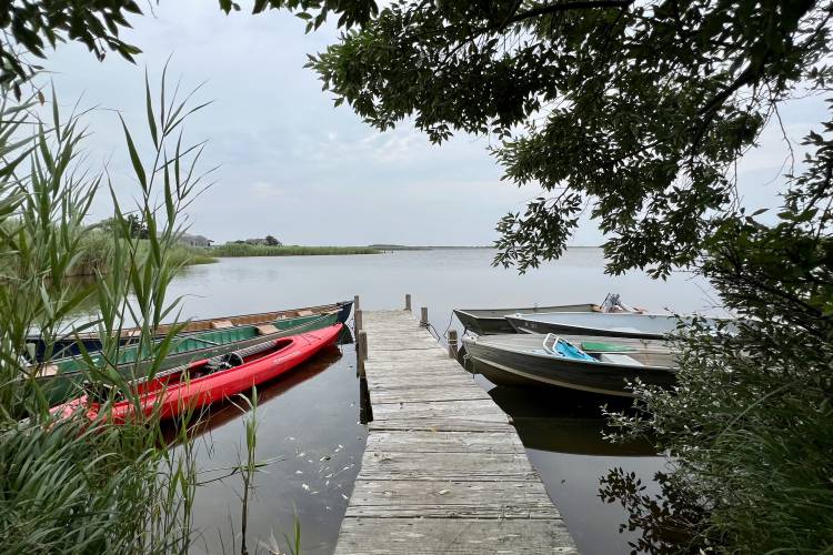 The O'Hanlon Group Rental Department Edgartown Vacation Properties